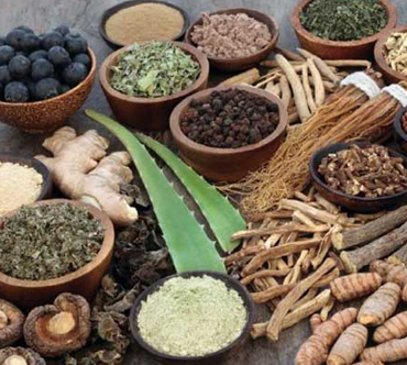 Modern Ayurveda Treatment